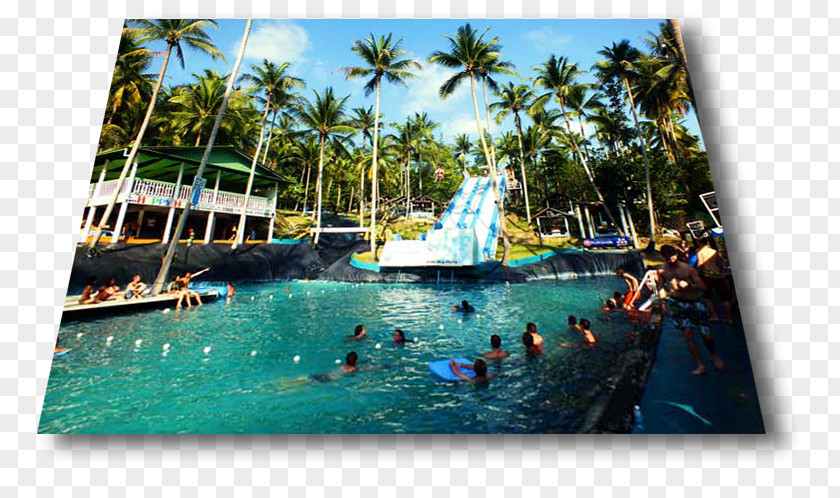 Slip N Slide Fly Swimming Pool Resort Water Park Leisure PNG