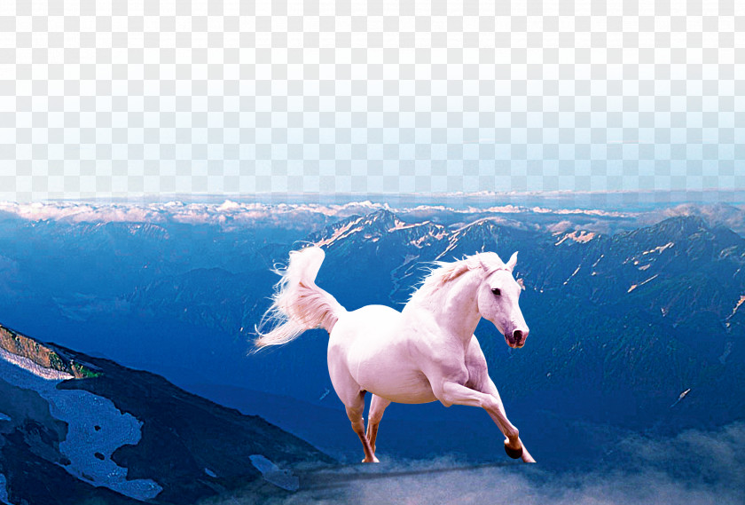 Dream Horse Gallop Wallpaper PNG