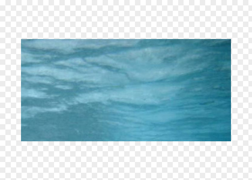 Olympus Stylus Marine Mammal Ocean Turquoise Rectangle Sky Plc PNG