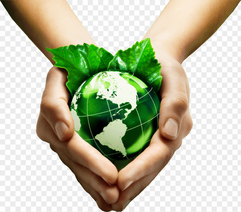 Plant Recycling Green Earth Hand World Human PNG