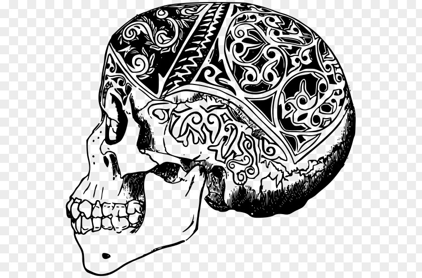 Skull Tattoo Human Symbolism PNG