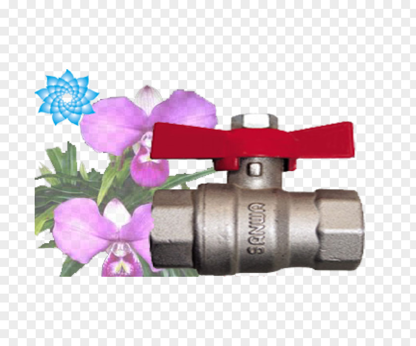 Water Ball Valve Check Cast Iron Stainless Steel PNG