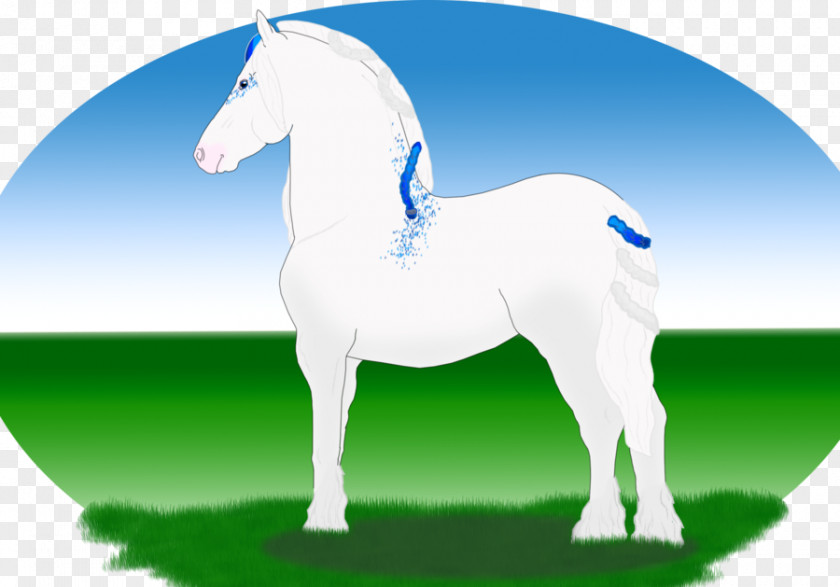 Aurora Borealis Wallpapers X Foal Stallion Mare Mane Mustang PNG