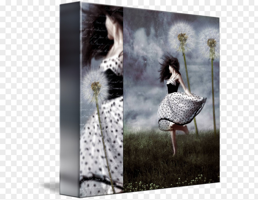 Dandelion Black And White Art Photography PNG