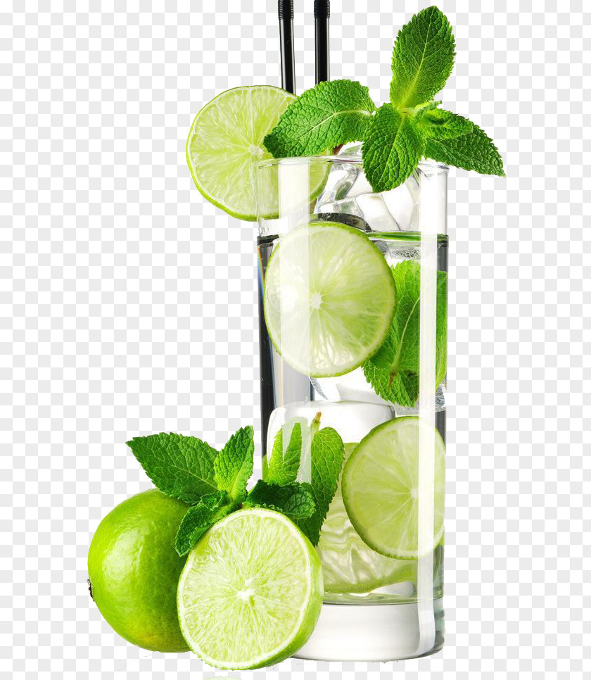 Free Lemonade Deduction Of Material Mojito Cocktail Juice La Croix Sparkling Water Mint PNG