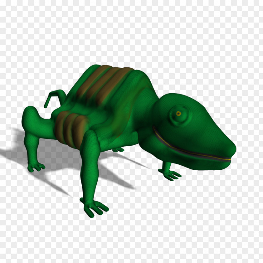 Frog Chameleons Lizard PNG