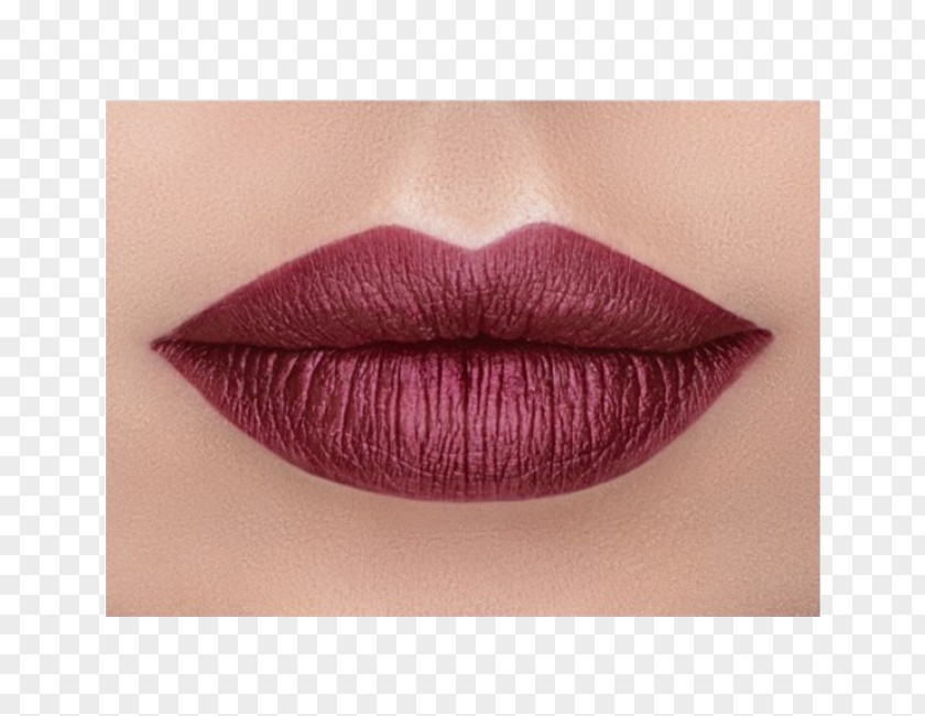 Lipstick OFRA Long Lasting Liquid Cosmetics Lip Gloss PNG