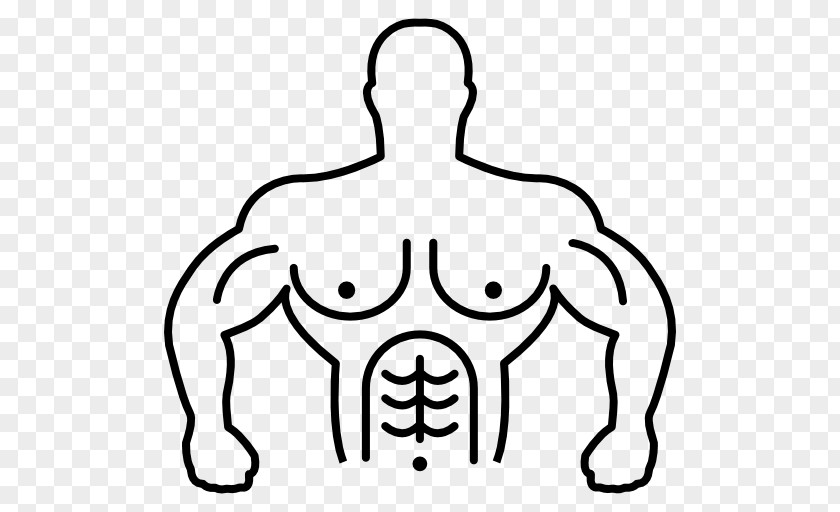 Muscle Human Body Biceps Clip Art PNG
