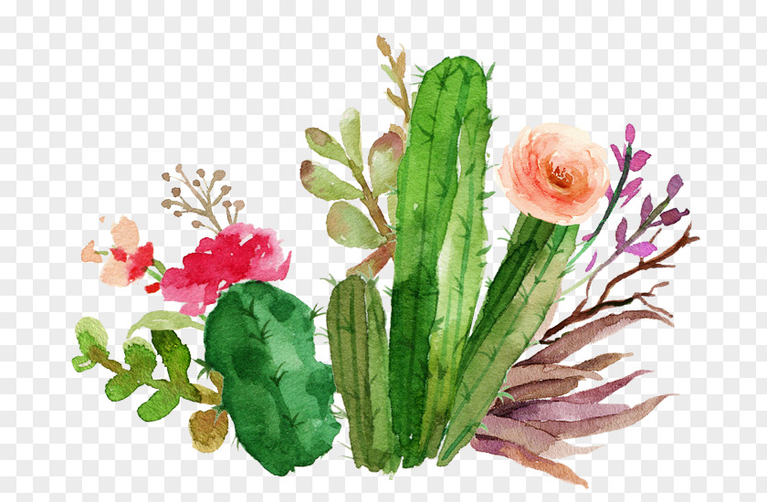 Beautiful Cactus Flowers Sen Department Paper Flower Cactaceae Textile Succulent Plant PNG