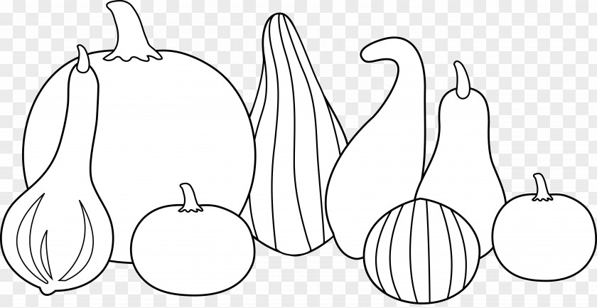 Calabash Gourd Pumpkin Cucurbita Vegetable Clip Art PNG