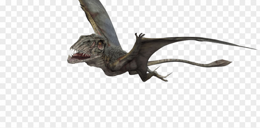 COCODRILO Dimorphodon Pteranodon Velociraptor Pterosaurs Jurassic Park PNG