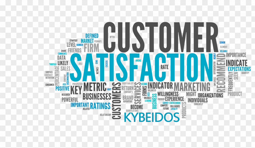 Customer Experience Satisfaction Contentment Brand Service PNG