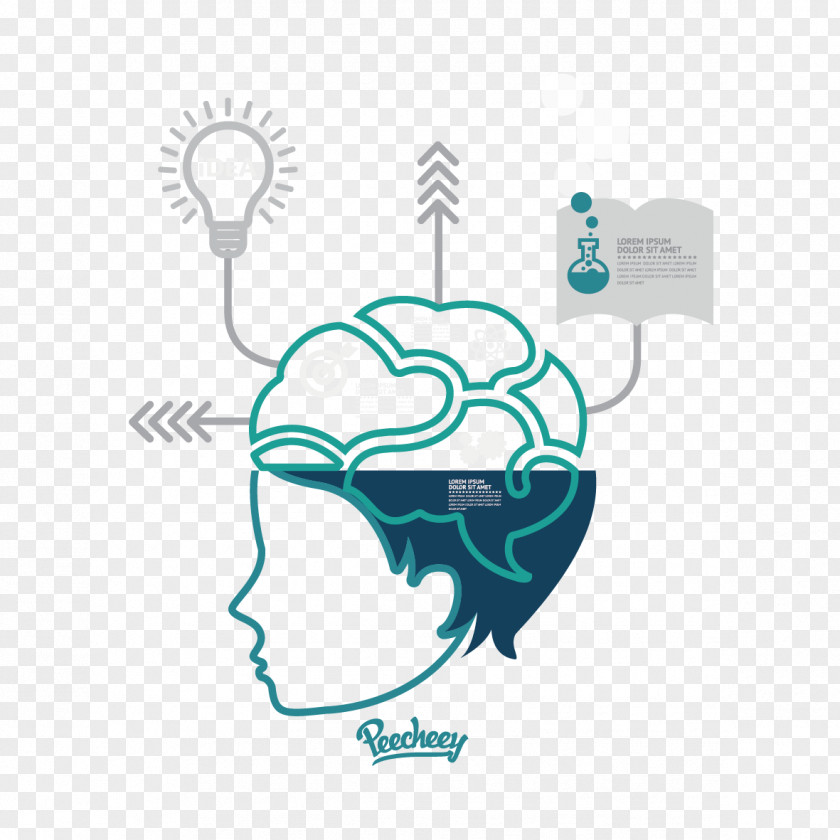 Energize Your Brain Cerebrum Download Clip Art PNG