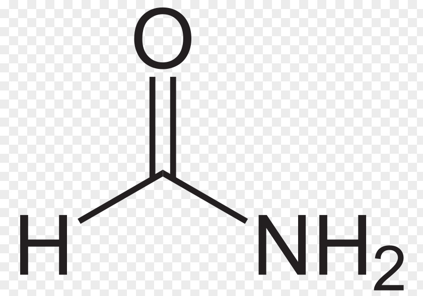 Formamide Methyl Formate IUPAC Nomenclature Of Organic Chemistry PNG ...