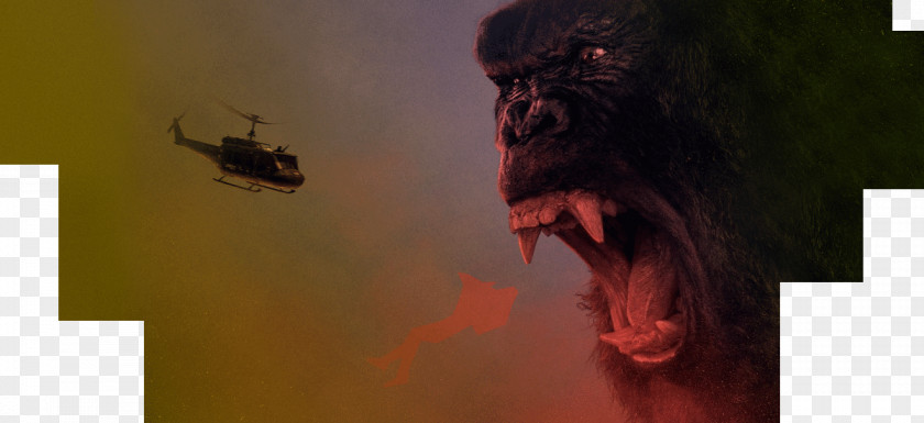 King Kong Film Director MonsterVerse Monster Movie PNG