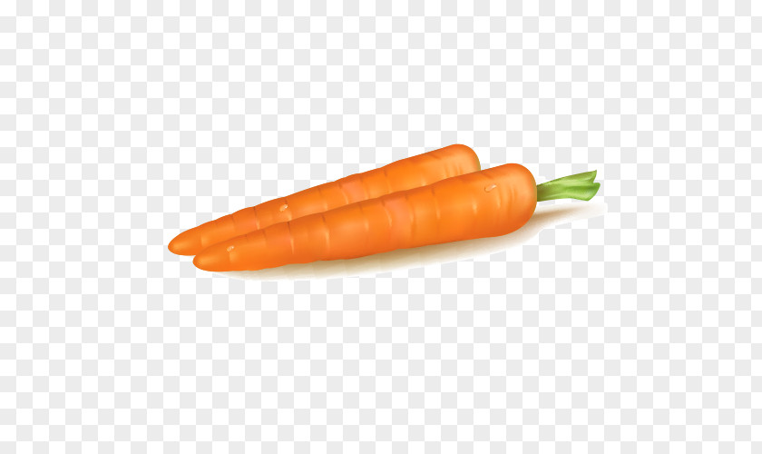 Carrot Baby Vegetable Fruit PNG
