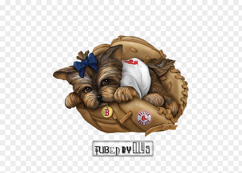 Cartoon Hippo Yorkshire Terrier Boston Red Sox Philadelphia Phillies Puppy New York Yankees PNG