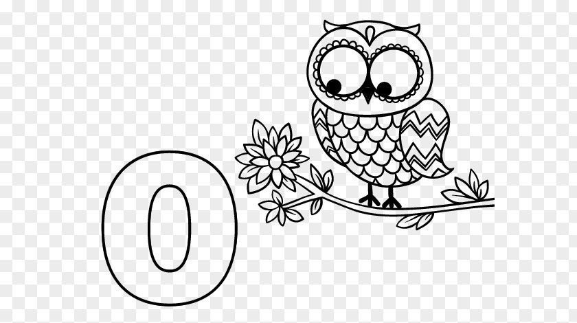 Color Owl Drawing Coloring Book Painting Paper PNG