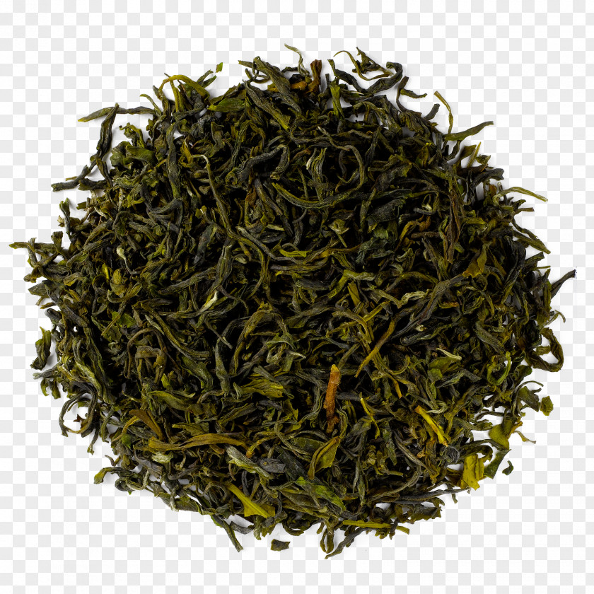 Green Tea Hōjicha Gyokuro Sencha PNG