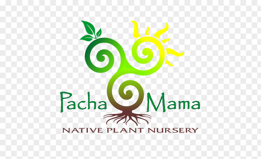 Pacha Logo Text Typeface Font PNG