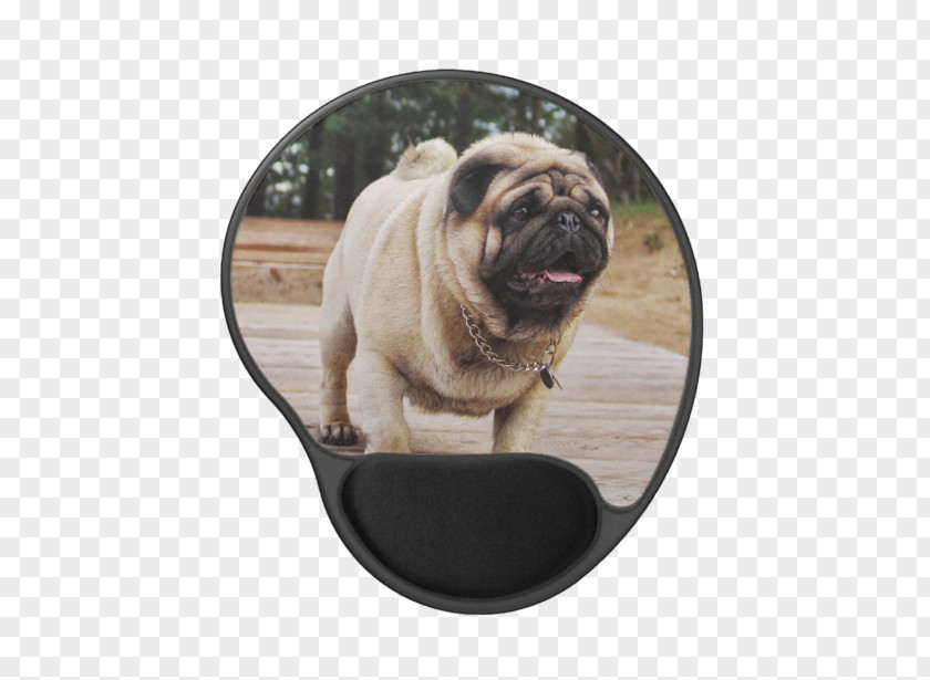 Pug Puppy Dog Breed Pet Key Chains PNG