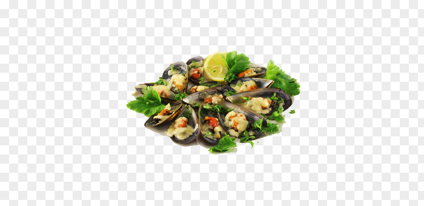 Rainbow Food Photos Mussel Chinese Cuisine Clam Vegetarian PNG