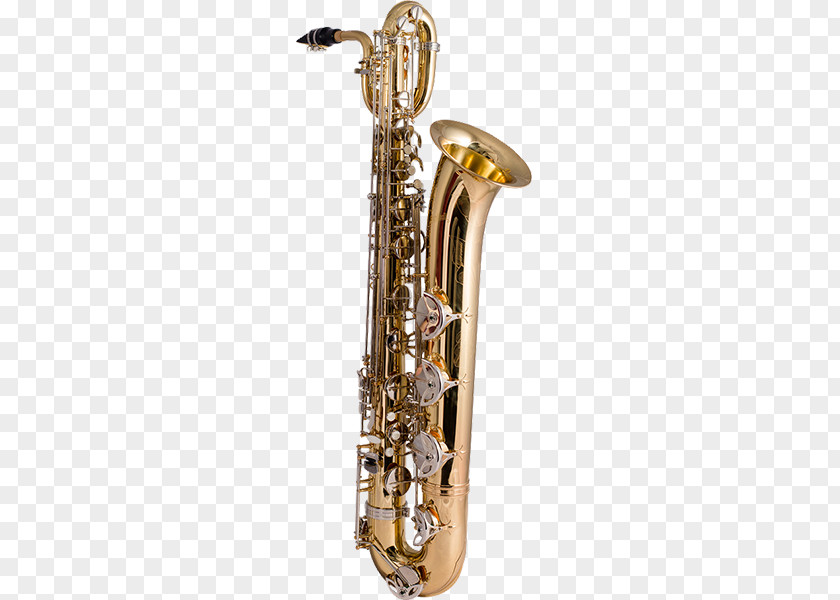 Saxophone Baritone Clarinet Family Bass Oboe Tenor Horn PNG