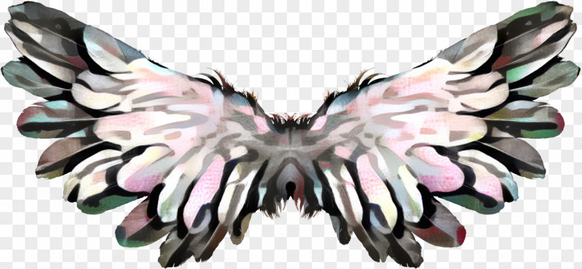 Symmetry Insect Angel Wings PNG