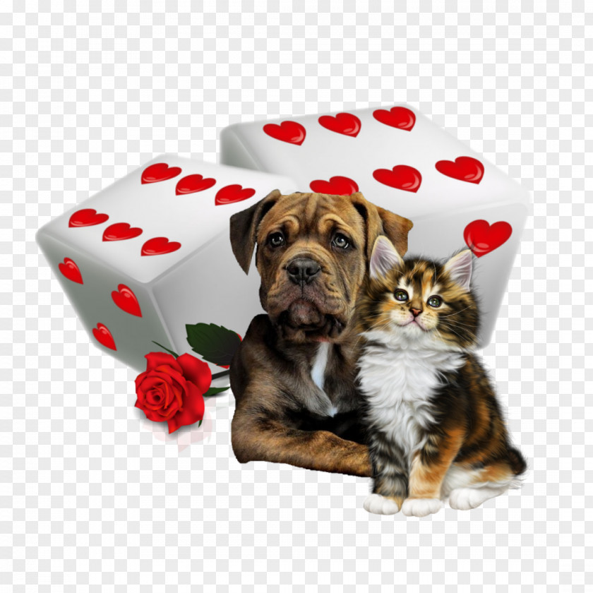 Yorkshire Terrier Bulldog Friendship Day Love Background PNG