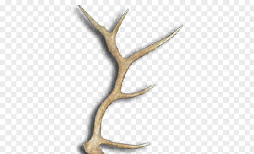 Deer Antler Moose Elk Drawer Pull PNG