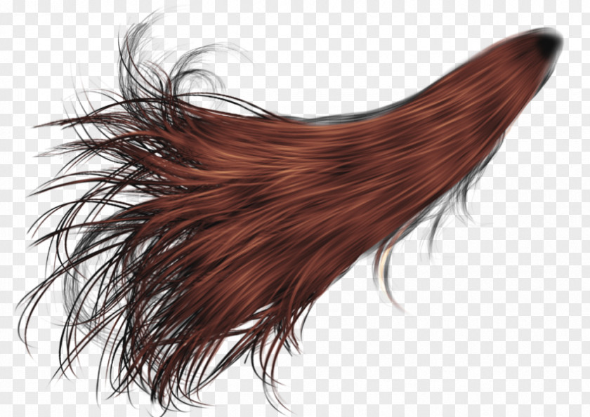 Hair Hairstyle Red Blue PNG