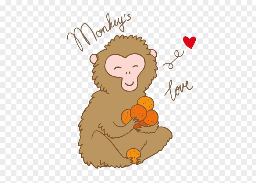 Hold Fruit Monkey Cartoon Illustration PNG