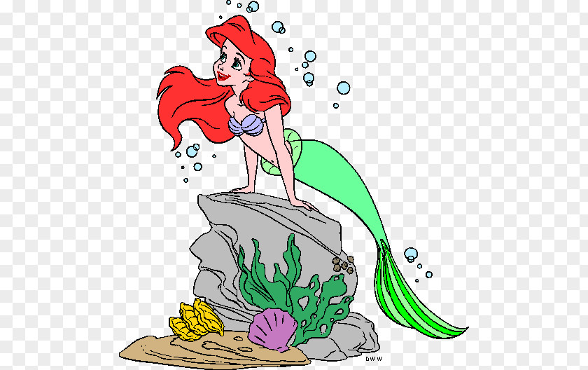 Mermaid Clip Art Ariel Drawing Cartoon PNG