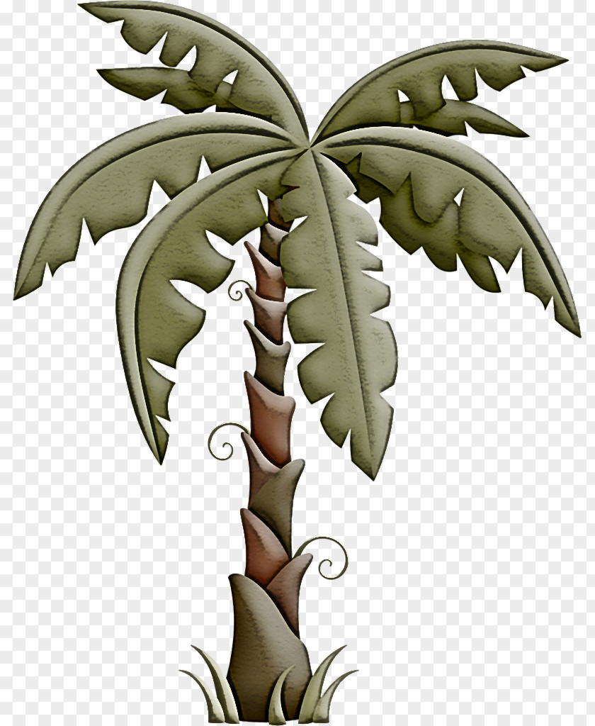 Palm Tree PNG