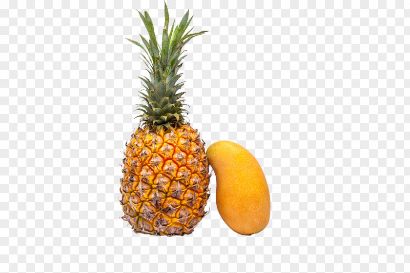 Pineapple And Mango Computer File PNG