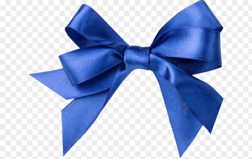 Ribbon Blue White Shoelace Knot PNG