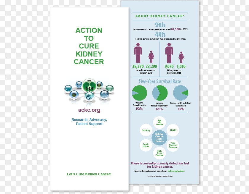 Tri-fold Brochure The One-minute Cure: Secret To Healing Virtually All Diseases Cancer Obesity PNG