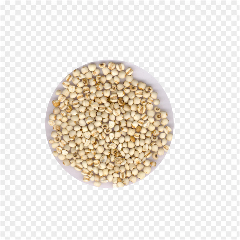 Barley Sorghum Adlay Seed Extract PNG