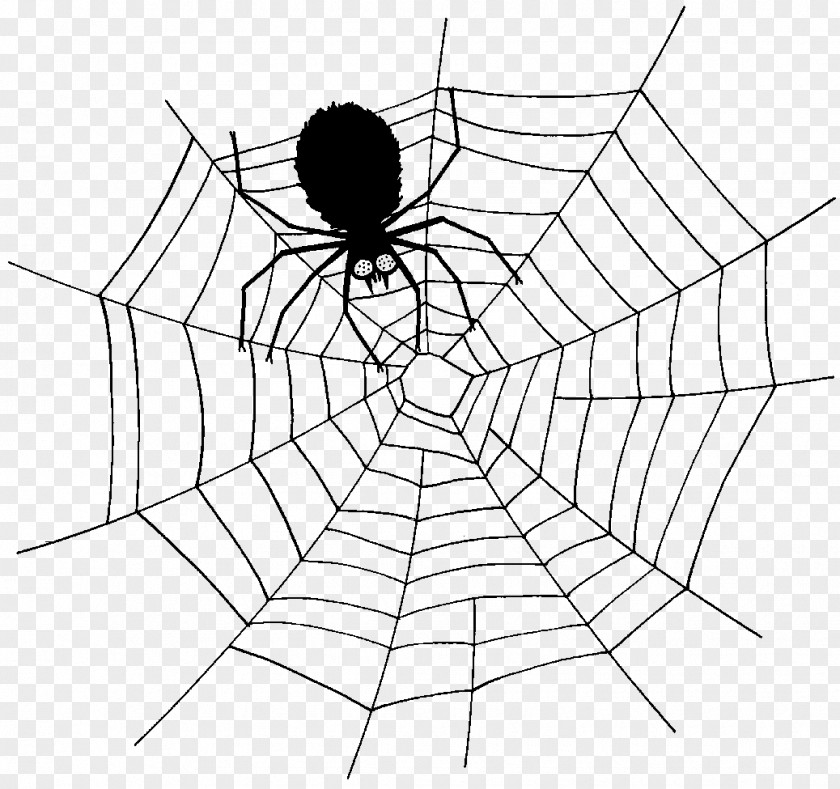 Spider Web Southern Black Widow Clip Art PNG