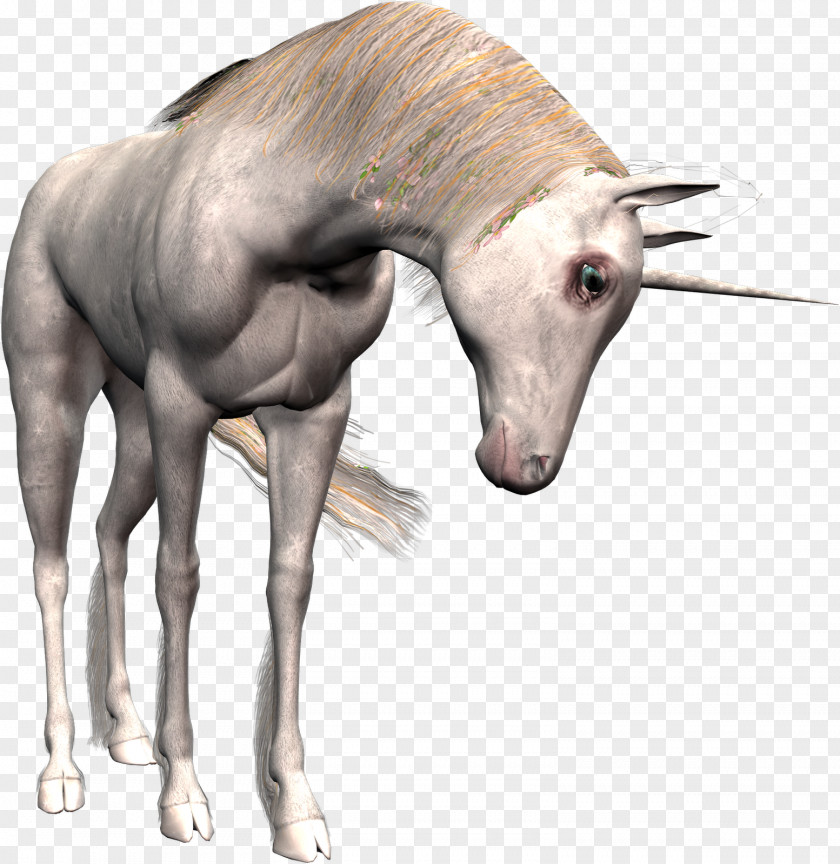 Unicornio Horse Unicorn Clip Art PNG