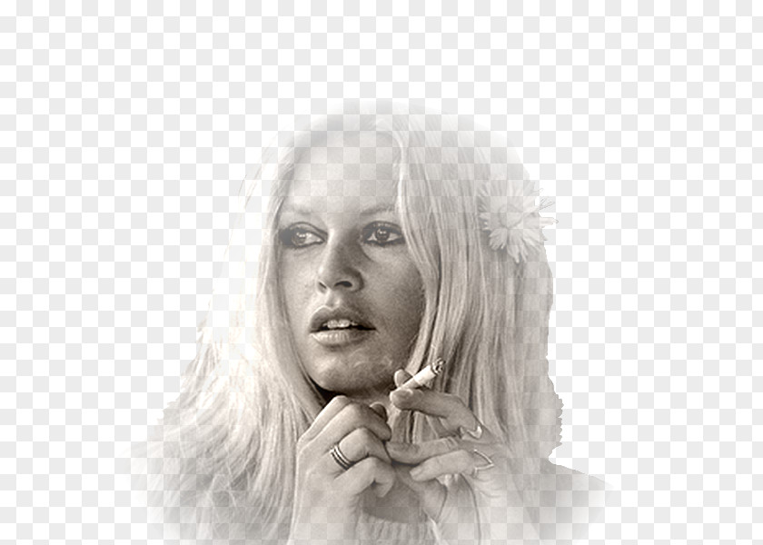 Brigitte Bardot Eyebrow Cheek Chin Forehead Jaw PNG
