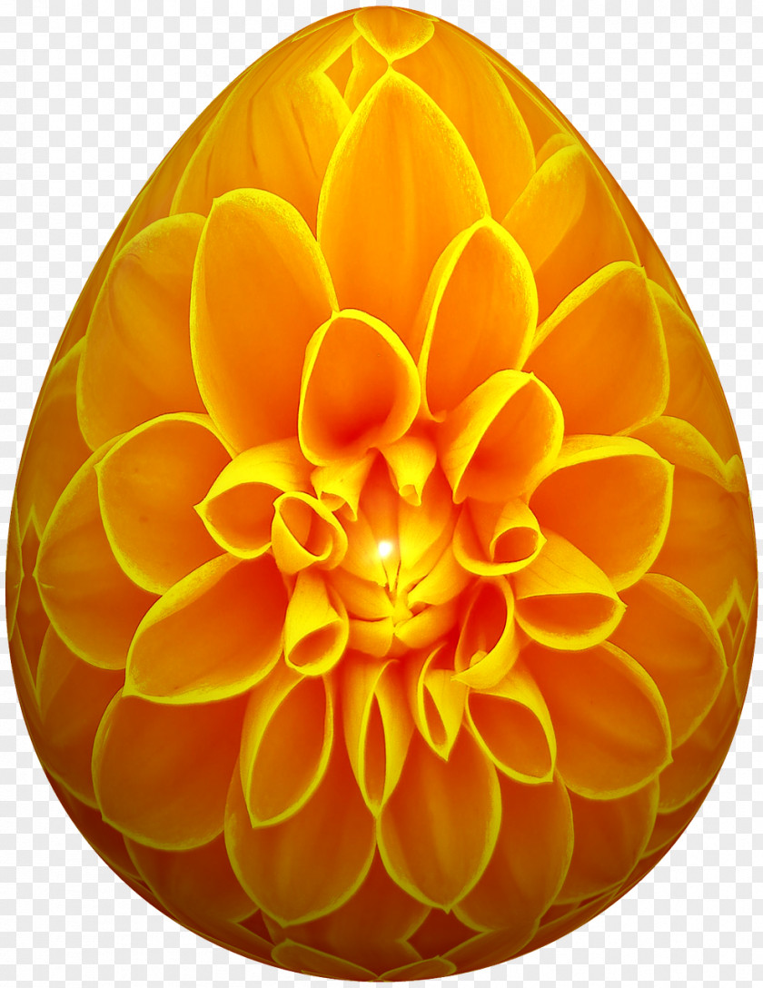 Flower Thermoplastic Polyurethane Silicone PNG