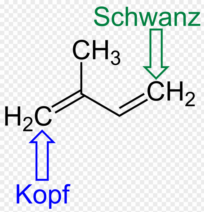 Isoprene Polymerization Font Text Angle PNG