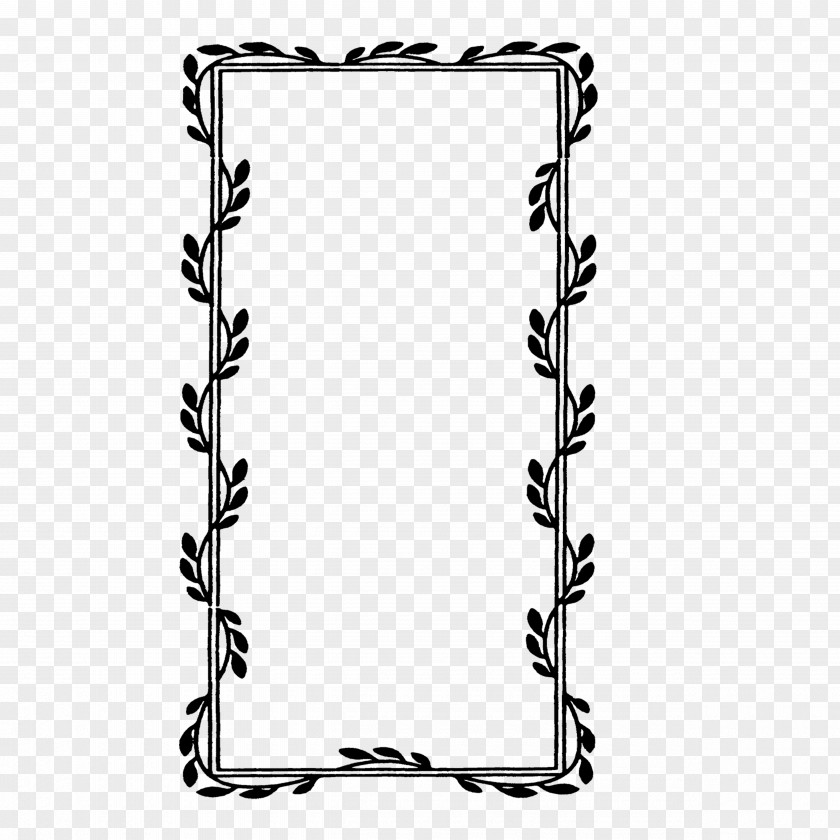 Leaf Frame Rectangle Square PNG