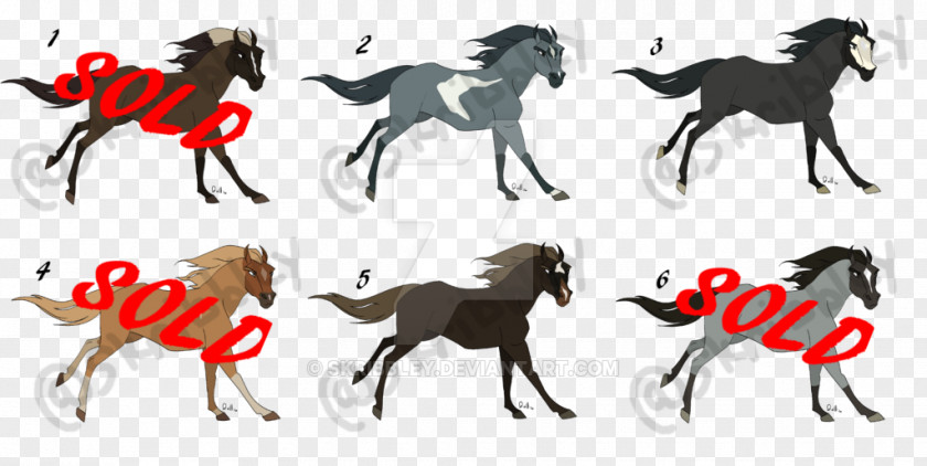 Mustang Dog Pack Animal Horse Tack PNG