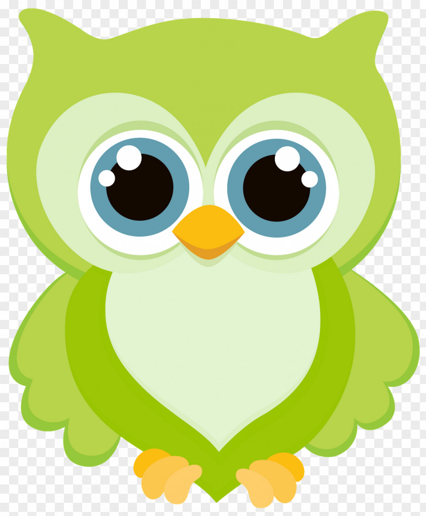 Owl Flip Chart Promethean World Activstudio Clip Art PNG