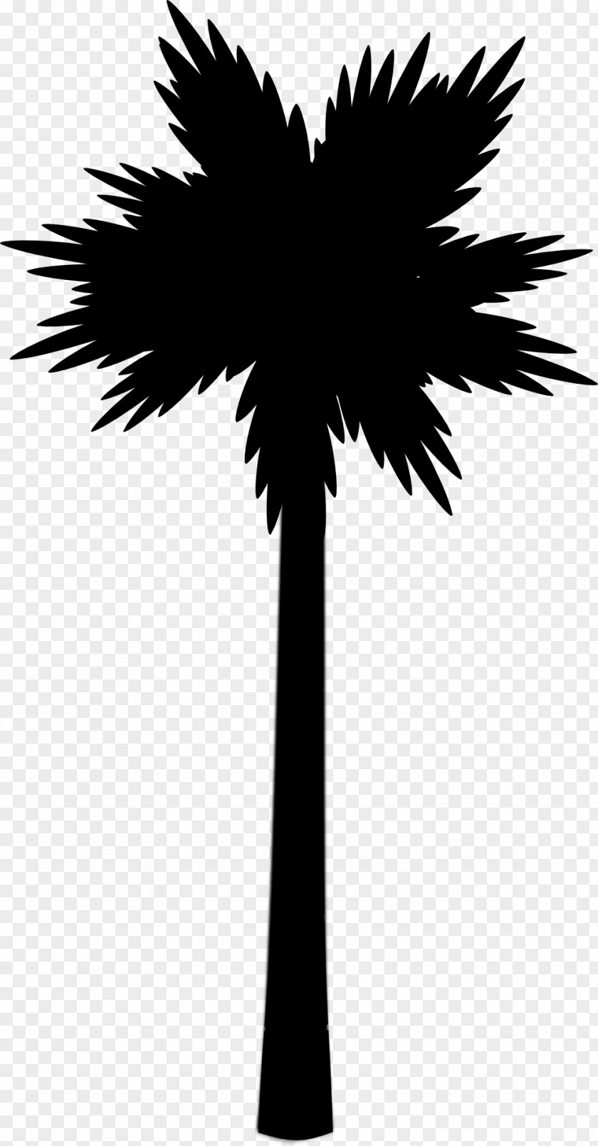 Palm Arecaceae Tree Clip Art PNG