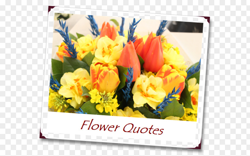 Flower Floral Design Bouquet Cut Flowers Quotation PNG