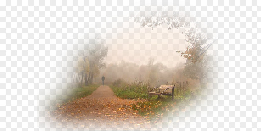 Fog Autumn Stock Photography Clip Art PNG