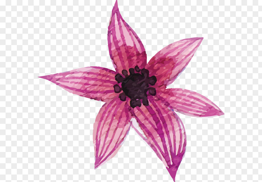 Hand-painted Flowers Petal Leaf Euclidean Vector Flower PNG